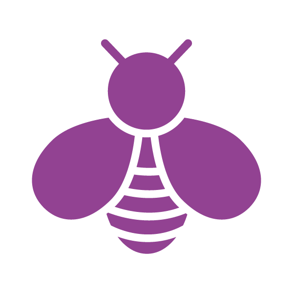 bug